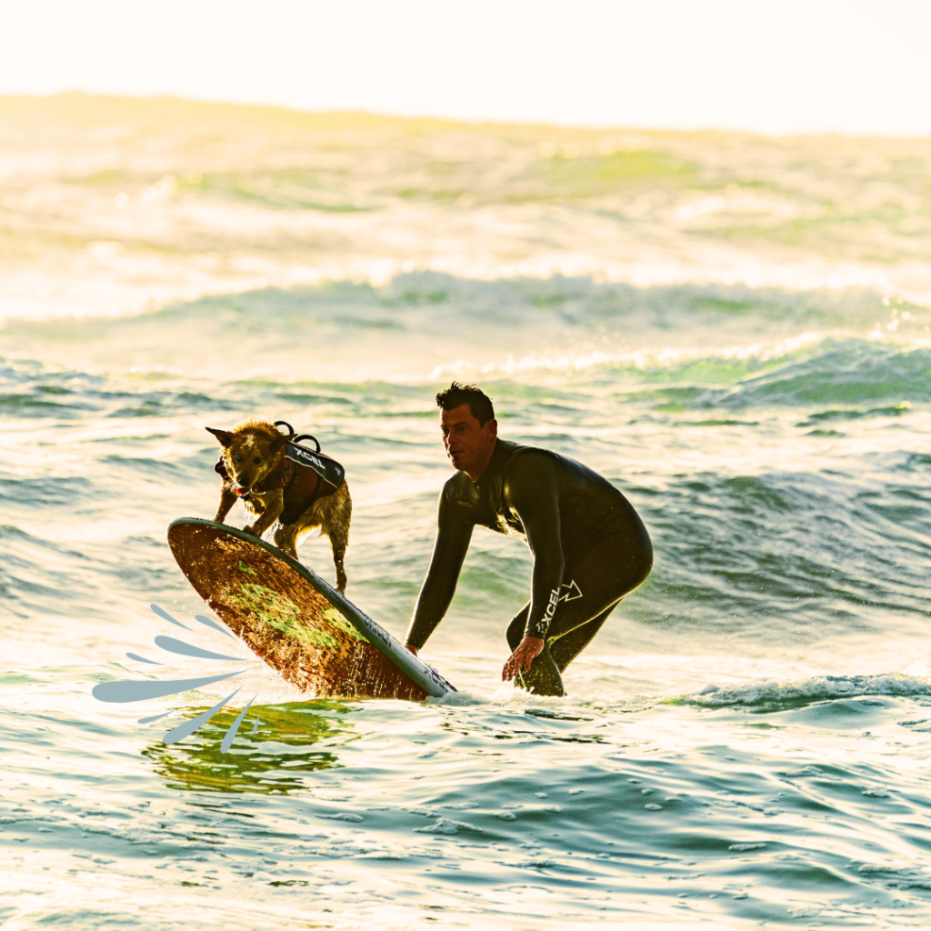 Surfing with a Dog